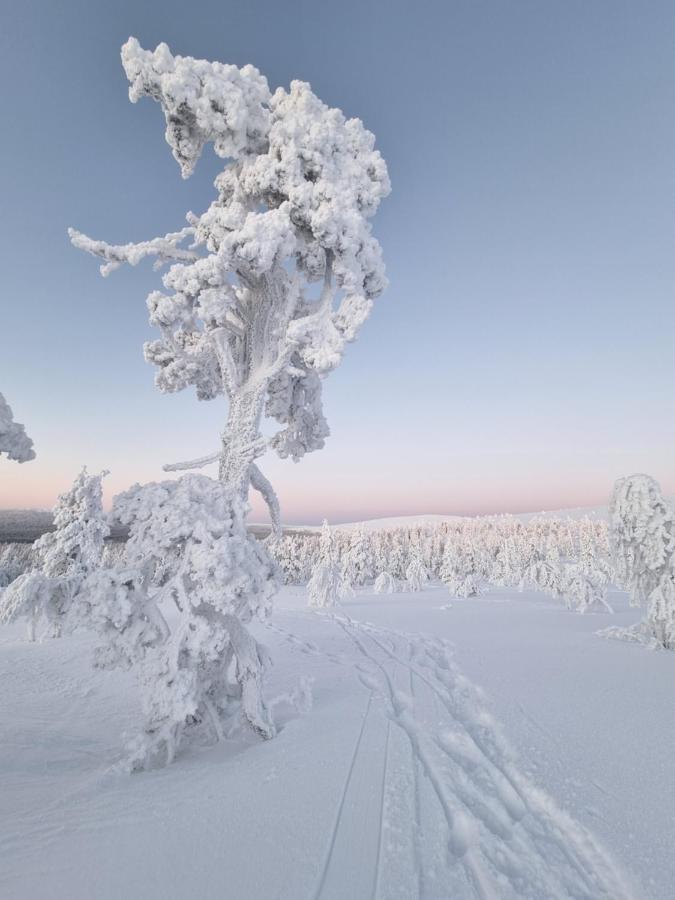 Loimu Villa Äkäslompolo Exterior foto